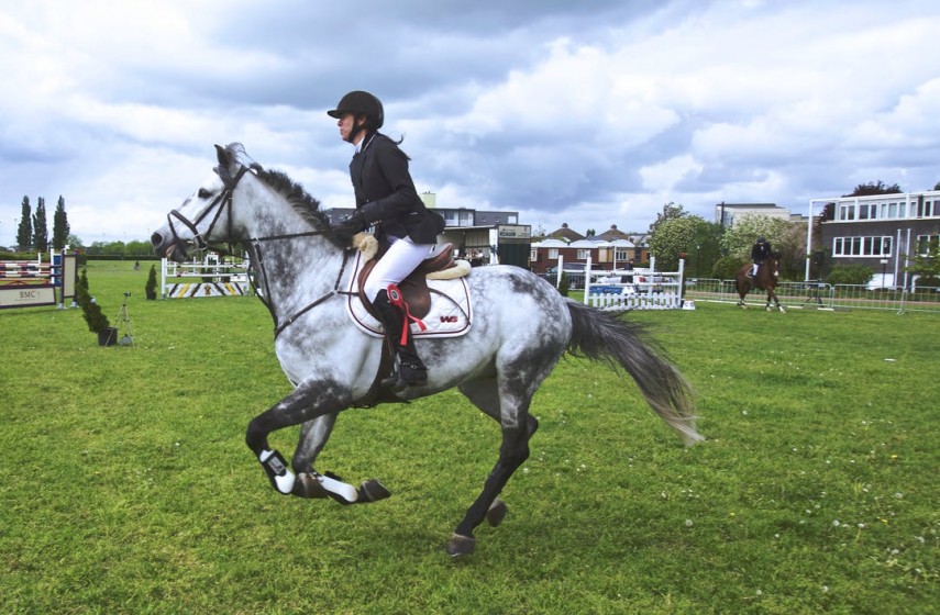 Equine